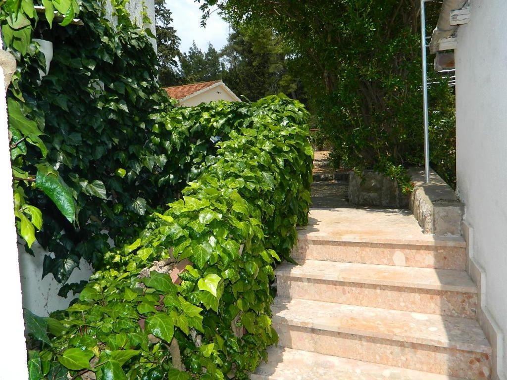 Apartments And Rooms Darinka Vrboska Extérieur photo